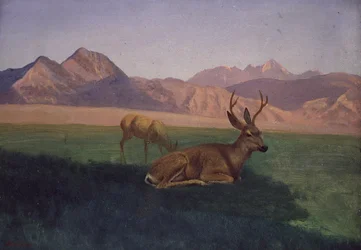 Deer